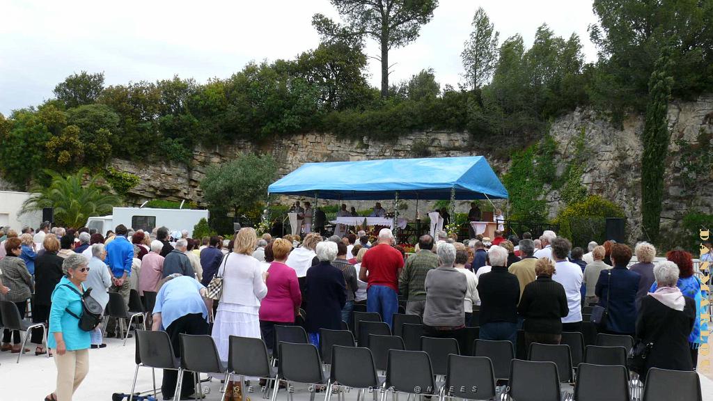 P1000699.jpg
