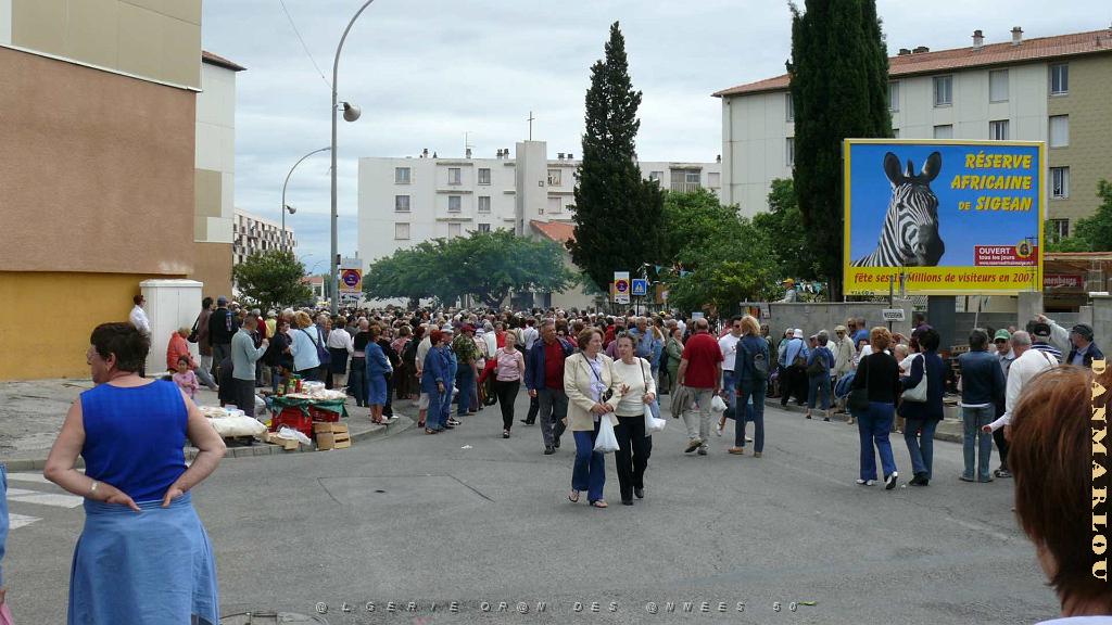 P1000753.jpg