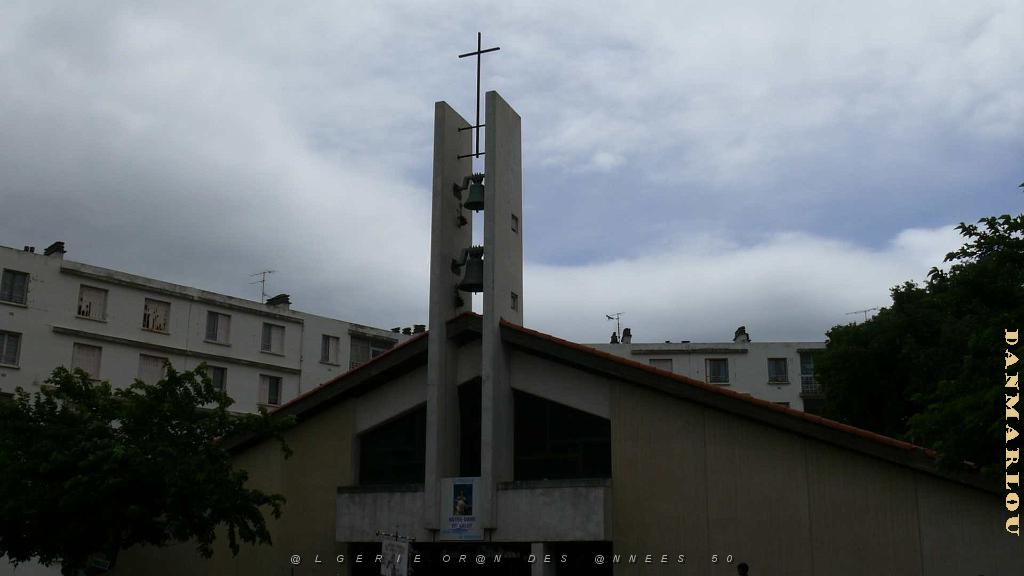 P1000763.jpg