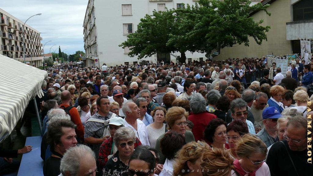 P1000764.jpg