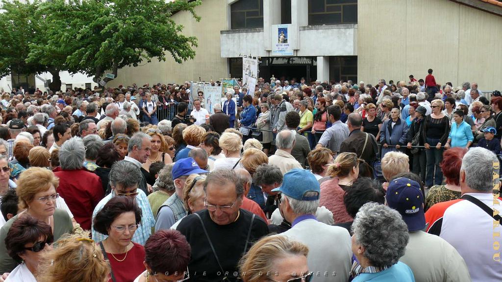 P1000765.jpg