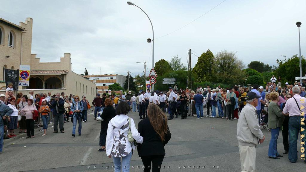 P1000779.jpg