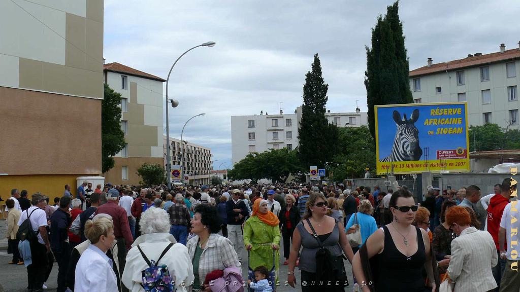 P1000780.jpg