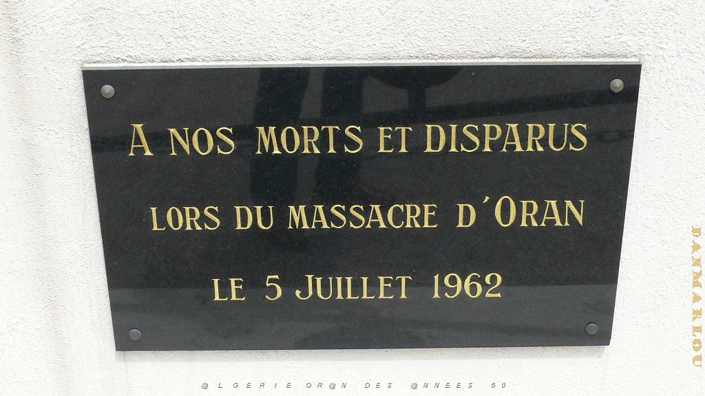 P1000785.jpg
