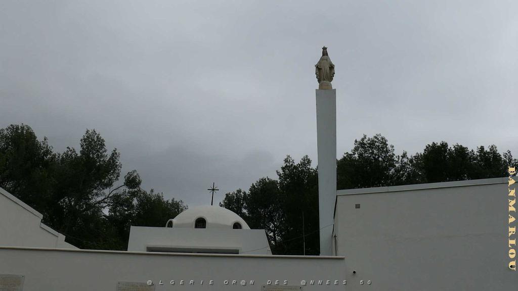 P1000791.jpg