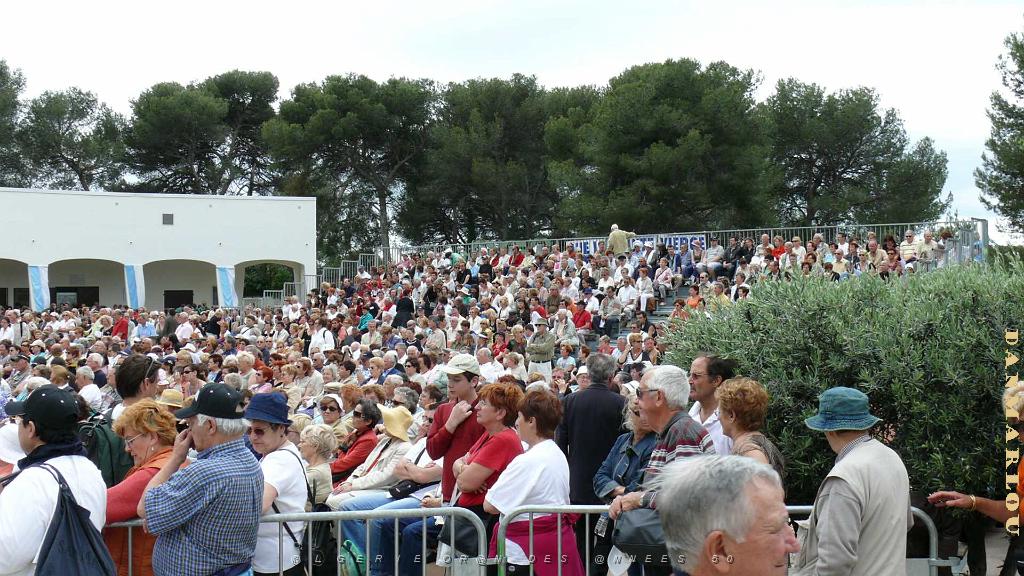 P1000824.jpg