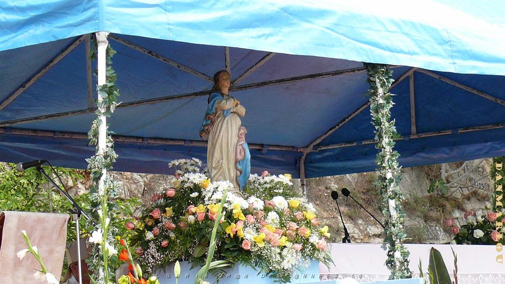 P1000834.jpg