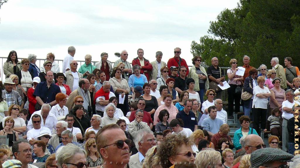 P1000844.jpg
