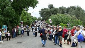 P1000782