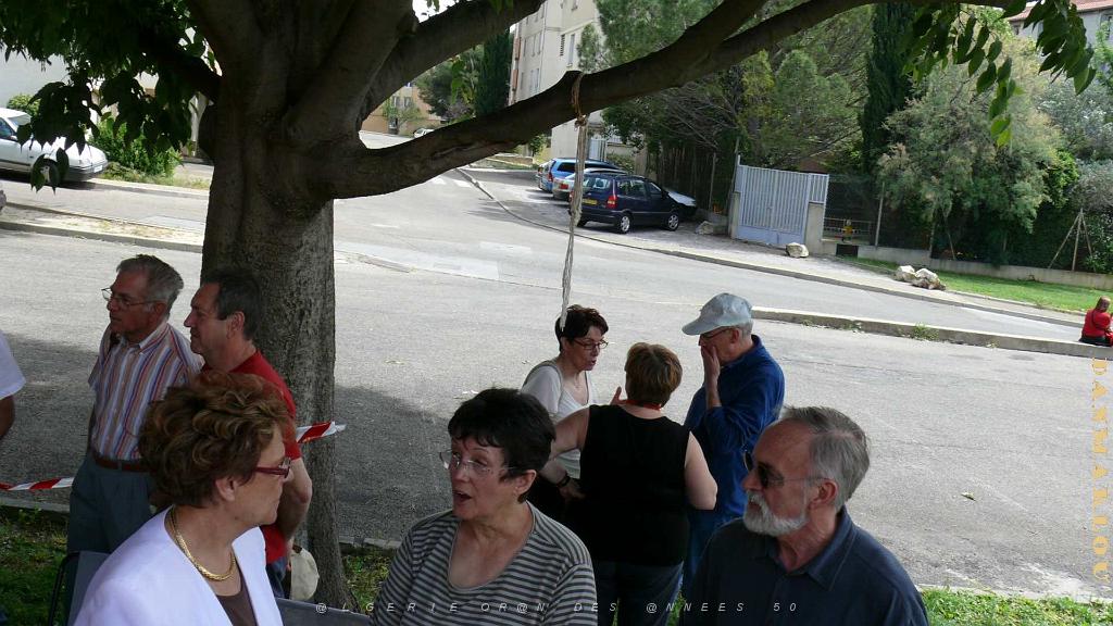 P1000716.JPG