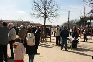 IMG_5491