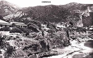 CHENOUA